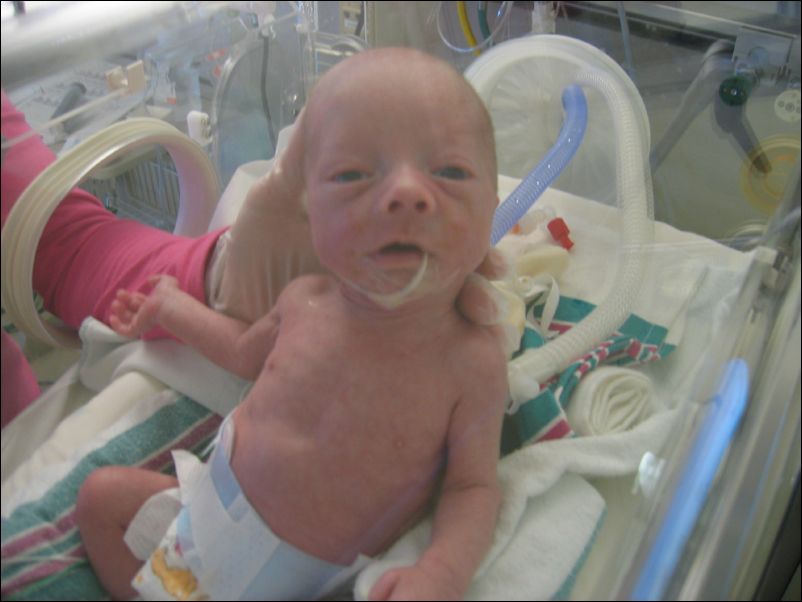 Sebastian post-feeding